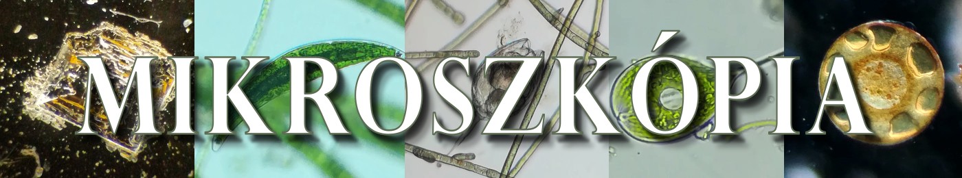 Mikroszkópozás kezdőknek