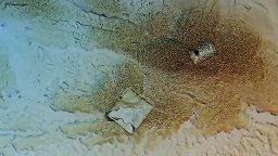 Zero Cola - századás után