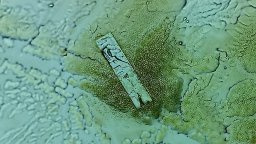 Zero Cola - századás után